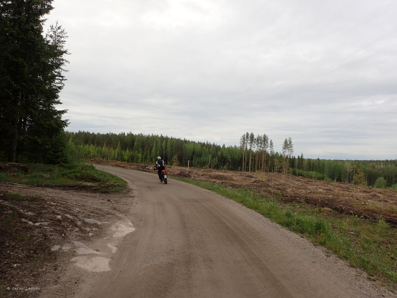 P5300579.JPG