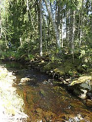 P5300517.JPG