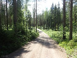 P5300520.JPG