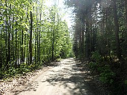 P5300522.JPG