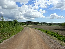 P5300529.JPG