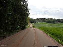 P5300531.JPG