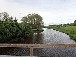 P5300533.JPG