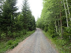 P5300534.JPG