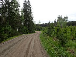 P5300536.JPG