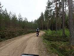 P5300539.JPG