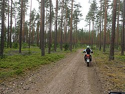 P5300542.JPG