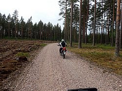P5300544.JPG