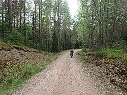 P5300545.JPG