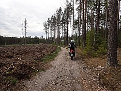 P5300549.JPG