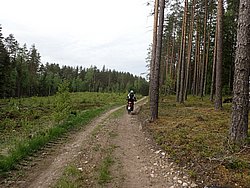 P5300552.JPG