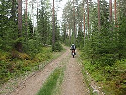 P5300554.JPG