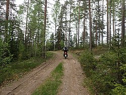 P5300557.JPG