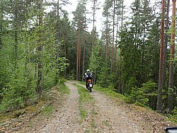P5300559.JPG
