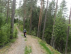 P5300561.JPG