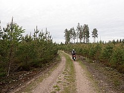P5300565.JPG