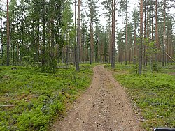 P5300571.JPG