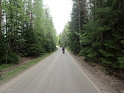 P5300577.JPG