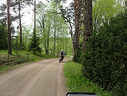 P5300584.JPG