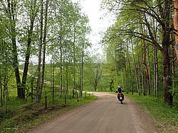 P5300586.JPG