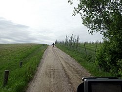 P5300593.JPG