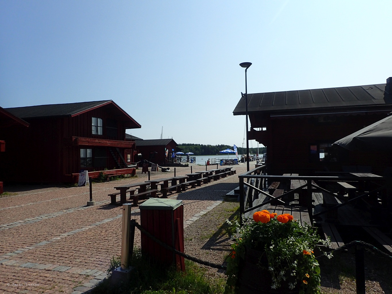 IMG_20250615_102932-0366.JPG