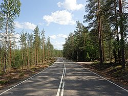 IMG_20250613_160837-0016.JPG