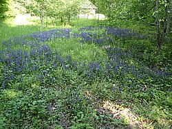 IMG_20250613_173403-0038.JPG