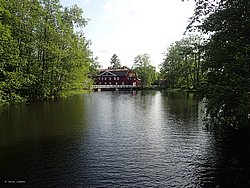 IMG_20250613_173546-0041.JPG