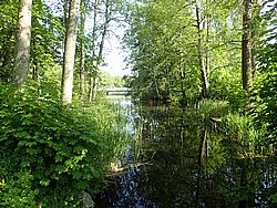 IMG_20250613_173837-0042.JPG