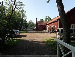 IMG_20250613_175608-0058.JPG