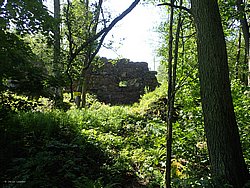IMG_20250614_095508-0086.JPG