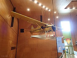 IMG_20250614_123206-0141.JPG