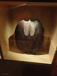 IMG_20250614_130244-0176.JPG