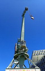 IMG_20250614_132404-0026.jpg
