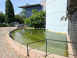 IMG_20250614_145119-0304.JPG