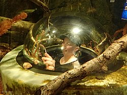 IMG_20250614_145807-0307.JPG