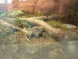 IMG_20250614_150301-0312.JPG