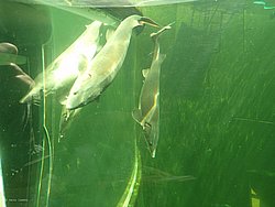 IMG_20250614_150604-0316.JPG