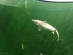 IMG_20250614_150616-0318.JPG