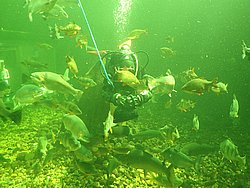 IMG_20250614_150841-0327.JPG