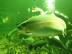IMG_20250614_150902-0328.JPG