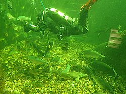 IMG_20250614_150945-0332.JPG