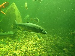 IMG_20250614_151001-0333.JPG