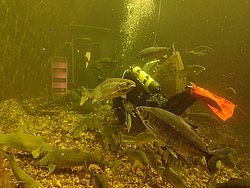 IMG_20250614_151057-0012.jpg