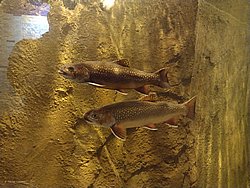IMG_20250614_151427-0018.jpg