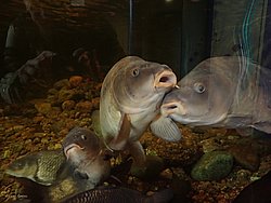 IMG_20250614_151729-0343.JPG