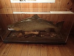 IMG_20250614_171109-0355.JPG