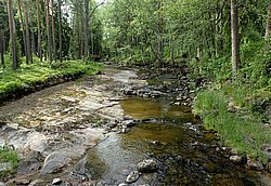 IMG_20250614_172348-0006.jpg