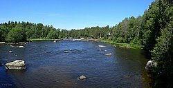IMG_20250614_172349-0006.jpg